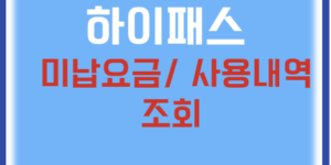 하이패스
