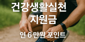 건강생활실천지원금