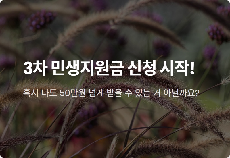 민생지원금 3차 지급, 나도 54만원? 현실적인 신청 방법과 꿀팁