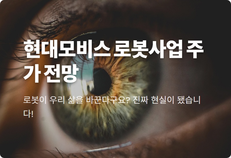 현대모비스 로봇사업 현실적인 주가 전망, 2026년 투자 꿀팁 총정리