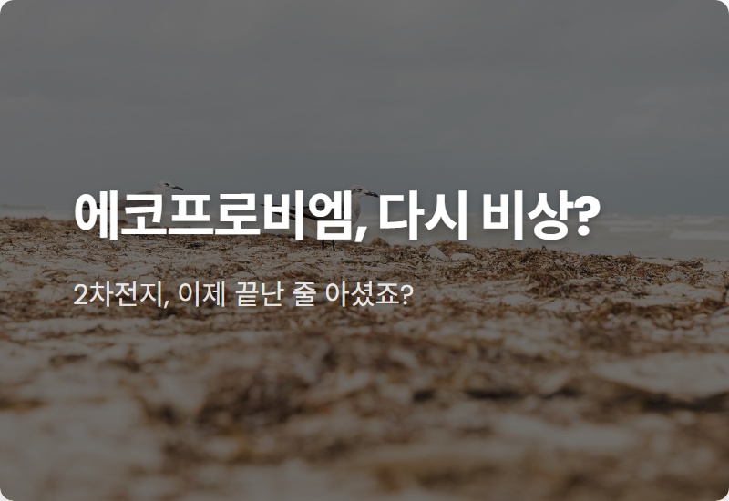 에코프로비엠 주가 상승 3가지 진짜 이유, 2026년 반등 신호탄일까?