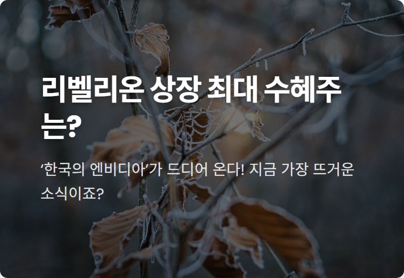 리벨리온 관련주 TOP 5, 상장 전 반드시 알아야 할 현실적인 투자 꿀팁