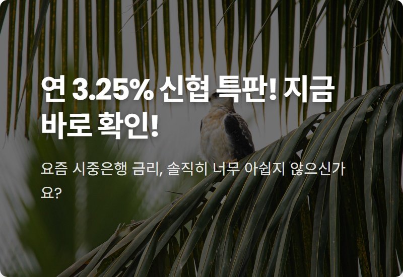 금천신협 특판예금 3.25% 가입 현실적인 방법 (ft. 저율과세 꿀팁)