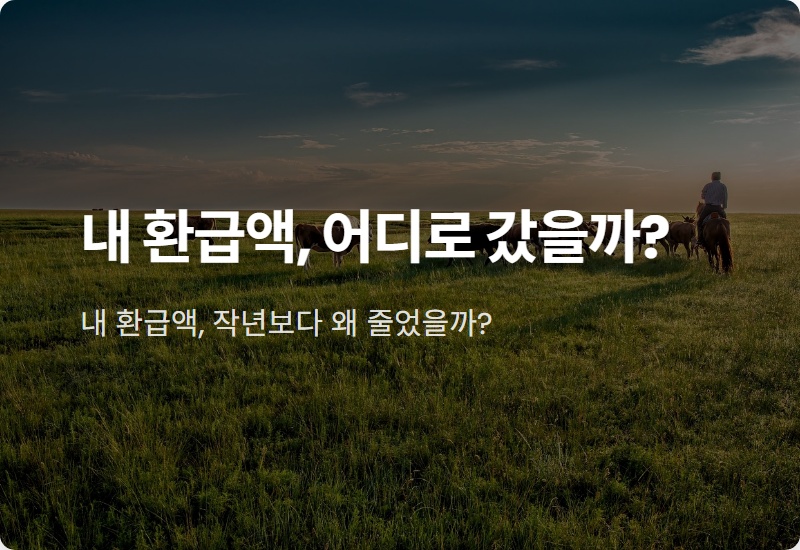 2026 연말정산 환급액 감소, 내 월급에 숨겨진 비밀 완벽 분석!