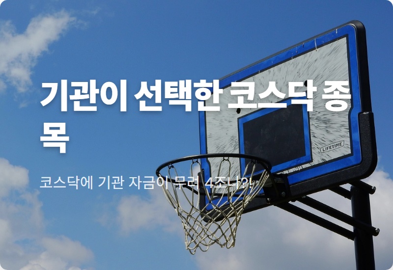 코스닥 기관 4조 순매수! 단 2일 만에 자금 몰린 대장주 TOP 3와 현실적인 투자 전략