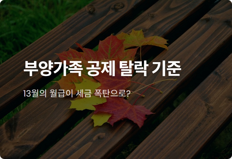 연말정산 부양가족 공제, 소득 100만 원의 함정! 이것 모르면 세금 폭탄 맞아요