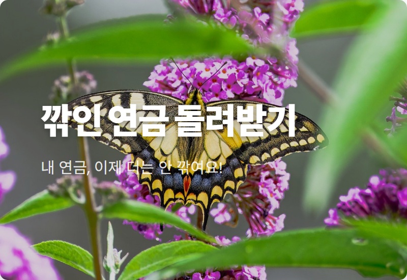 노령연금 감액 환급 현실적인 방법, 2026년부터 깎인 연금 100% 돌려받는 꿀팁!