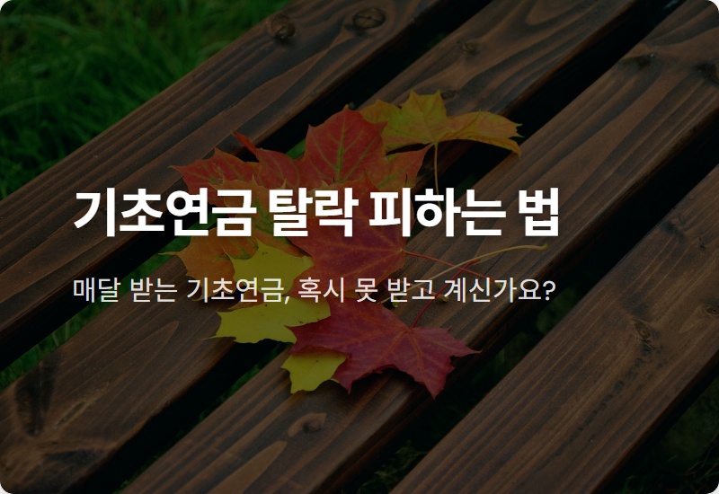 기초연금 수급자격, 2026년 기준 모르면 탈락! (소득인정액 계산 꿀팁)