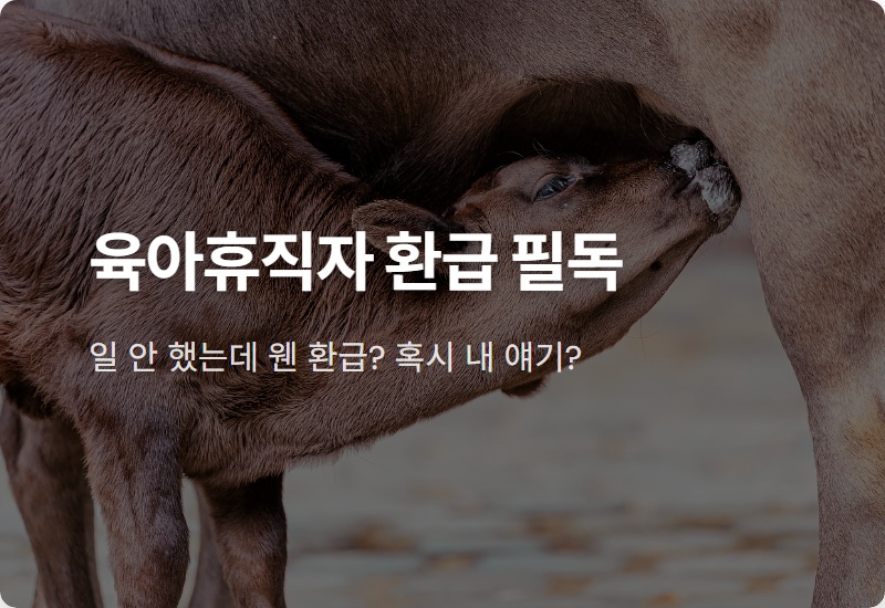 육아휴직 연말정산 환급, 2026년 최신 꿀팁으로 13월의 월급 두둑히 챙기는 법