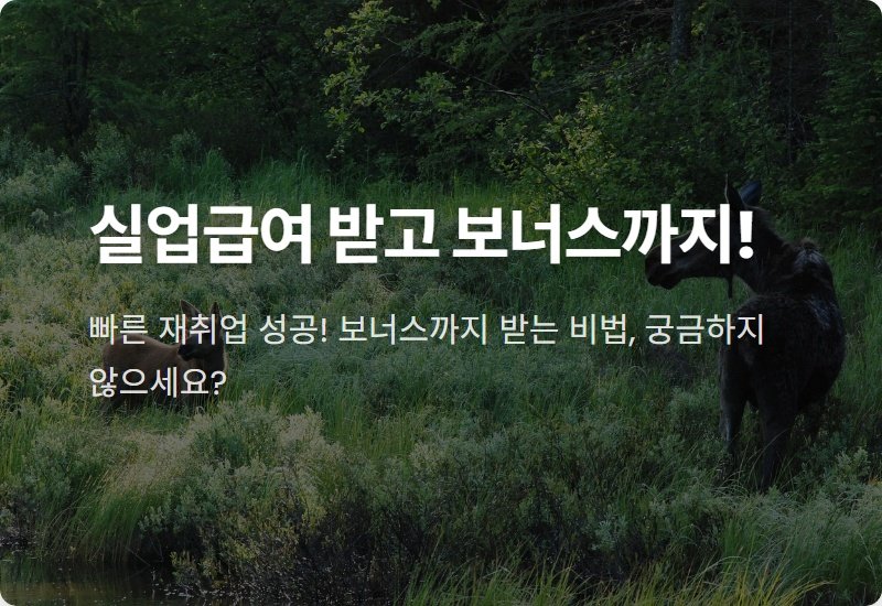 조기재취업수당 현실적인 신청 조건과 처리기간 꿀팁