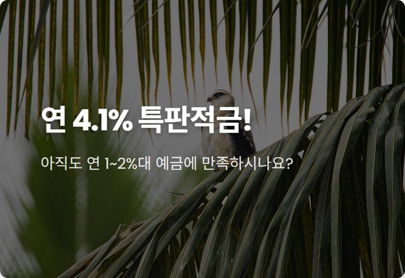 신협 정기적금 특판, 연 4.1% 금리! 가입 안하면 손해인 이유 총정리