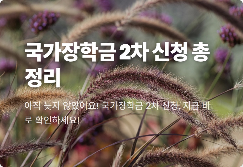 2025 국가장학금 2차 신청, 놓치면 후회! 현실적인 방법과 꿀팁 총정리