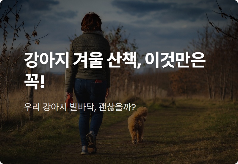 염화칼슘 강아지 발바닥 화상? 겨울 산책 전 필수 체크 꿀팁 4가지