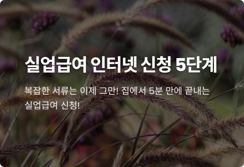 인터넷 실업급여 신청 방법, 이것만 알면 A to Z 완벽정리 (5단계 꿀팁)