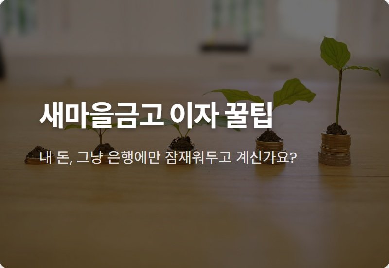 새마을금고 특판예금, 연 3.1% 이자 현실적인 수령 꿀팁 공개!