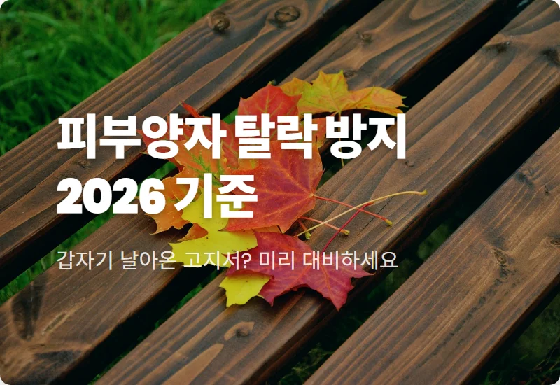 건강보험 피부양자 자격 2026년 탈락 방지 현실적인 소득 재산 기준 꿀팁