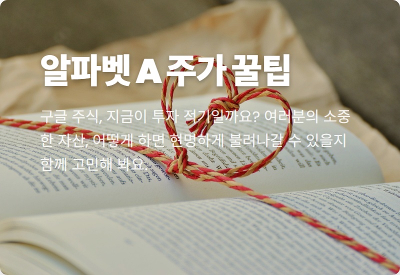 AI 투자 확대, 시총 2위 구글 주식 알파벳 A 2026년 상반기 주가 전망 꿀팁