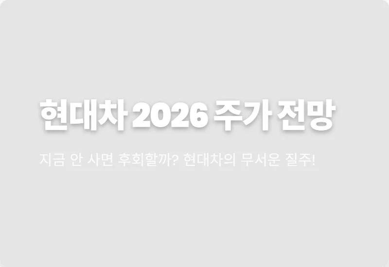 현대자동차 주가 전망 2026년 순매수 1위 이유와 수익 내는 현실적인 전략