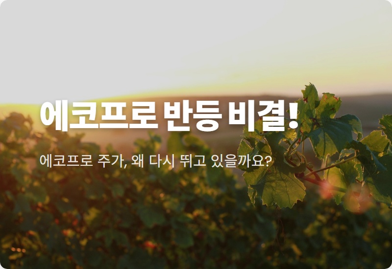 에코프로 반등, 실적·성장 두 마리 토끼 잡는 진짜 비결은?