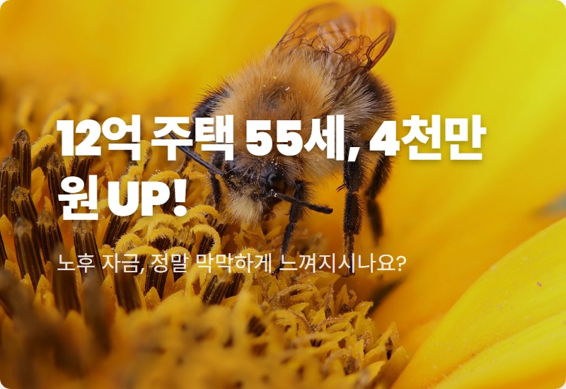 2026 주택연금 12억 주택 55세라면? 평생 4,000만원 더 받는 현실적인 꿀팁!