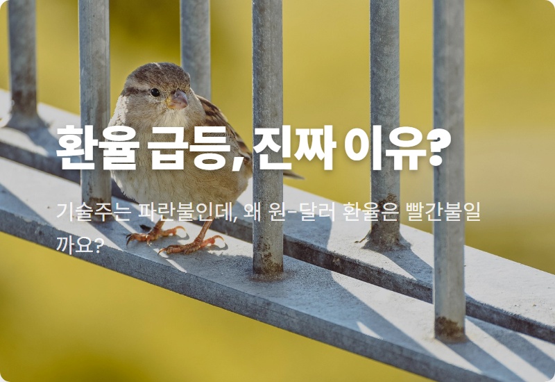 미국 기술주 하락하는데 환율은 급등? 현실적인 이유 4가지 총정리