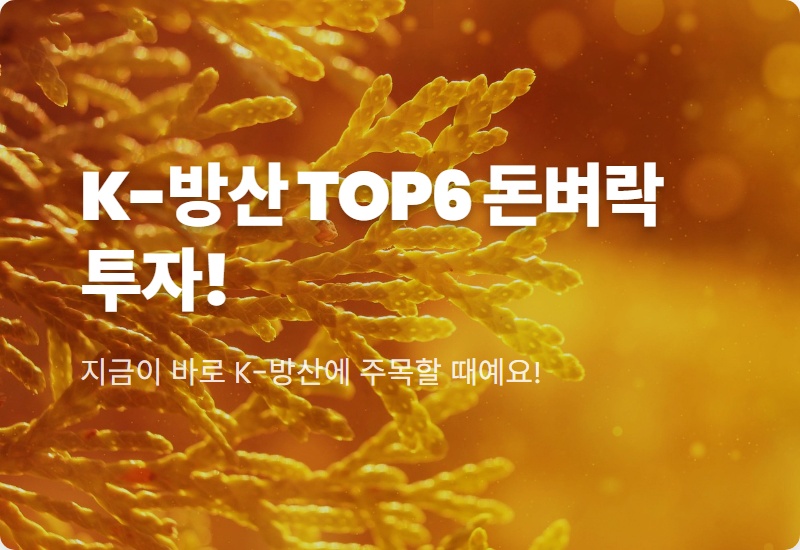 2026년 대박 예감! K-방산 수출 대장주 TOP 6, 지금 투자하면 돈 쓸어 담는 현실적인 꿀팁!