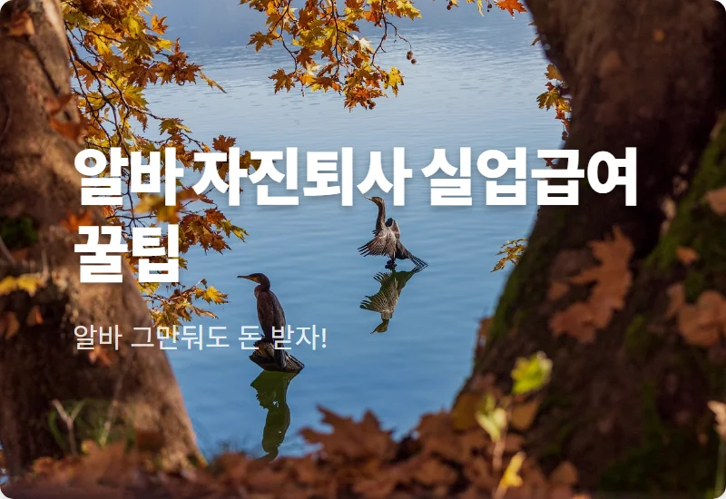 알바 자진퇴사 실업급여 받는법 5가지 핵심 조건과 현실적인 신청 꿀팁