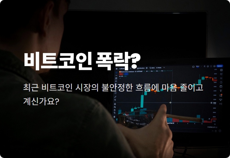 2026년 2월 비트코인, 추가 폭락 가능성 3가지와 현명한 대처법