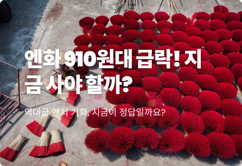엔화 환율 910원대 급락 이유! 사나에노믹스 대응 현실적인 환전 및 투자 꿀팁