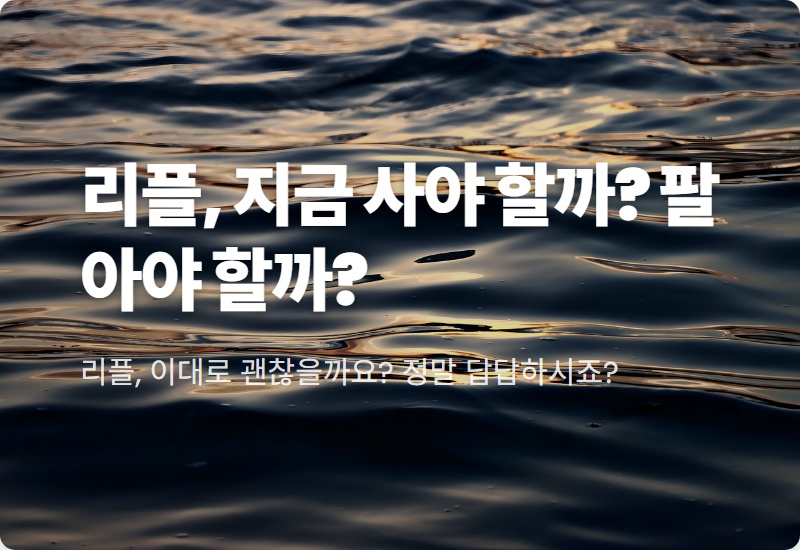 리플 전망, 보유와 매도 갈림길? 2026년 현실적인 투자 결정 꿀팁
