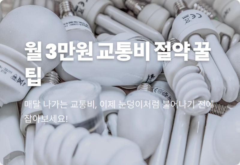 기후동행카드 한 달 후기: 교통비 3만원 아낀 현실적인 방법과 꿀팁!