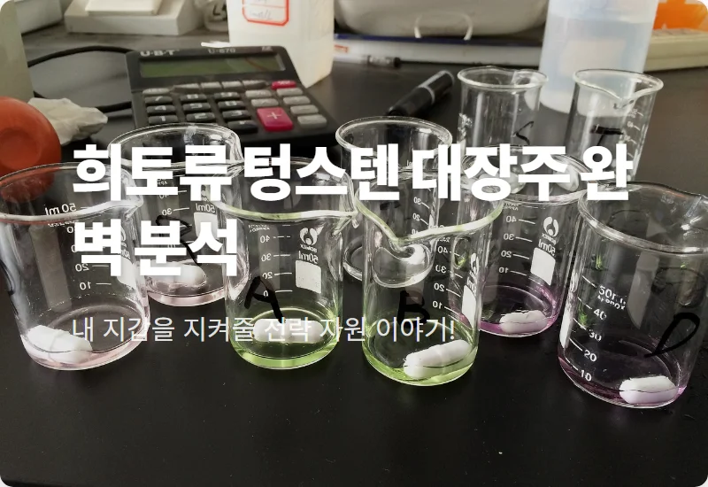 희토류 텅스텐 관련주 TOP 4 추천 및 상동광산 투자 꿀팁