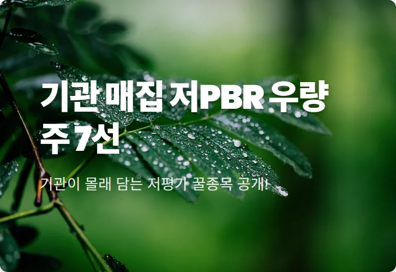 2026년 저PBR 우량주 TOP7 기관 매수 종목 추천 및 현실적인 투자 방법