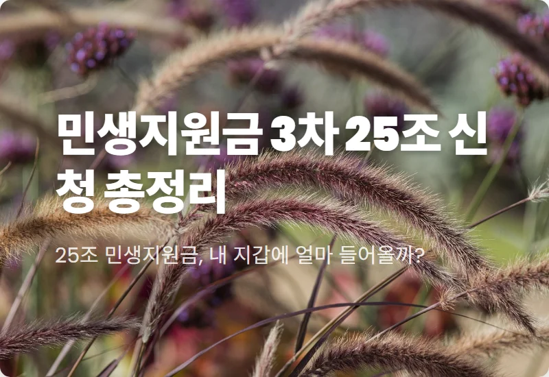 민생지원금 3차 25조 신청 방법 현실적인 지급 금액과 꿀팁