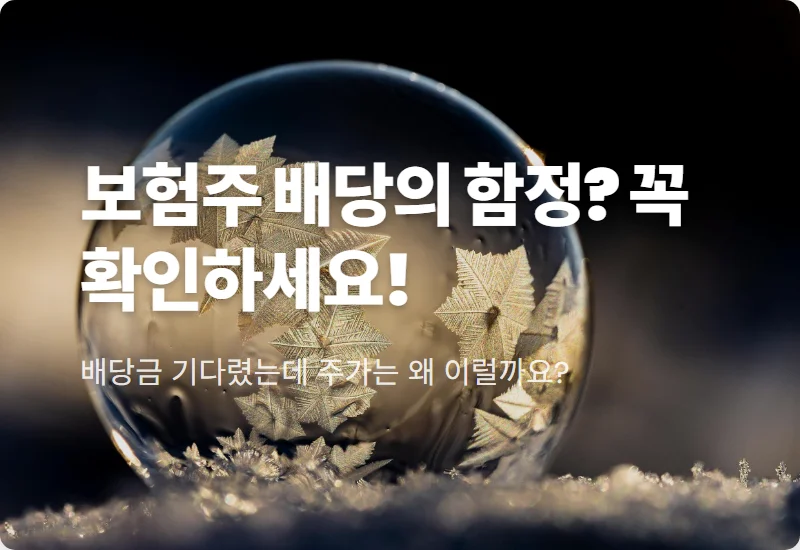 보험주 배당 시즌 하락 이유 5가지와 수익률 방어하는 현실적인 투자 꿀팁