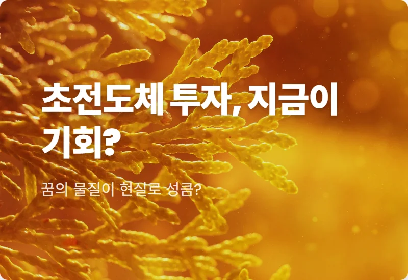 초전도체 관련주 급등 이유, 2026년 현실적인 투자 타이밍과 3가지 주의점