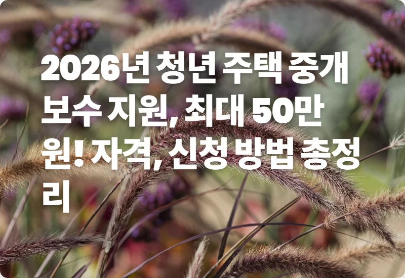 2026년 청년 주택 중개보수 지원, 최대 50만원! 자격, 신청 방법 총정리