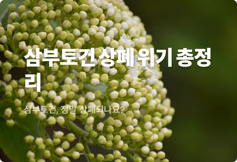 삼부토건 주가 상폐 위기 현실적인 대응 방법 3가지 (4월 14일 운명)