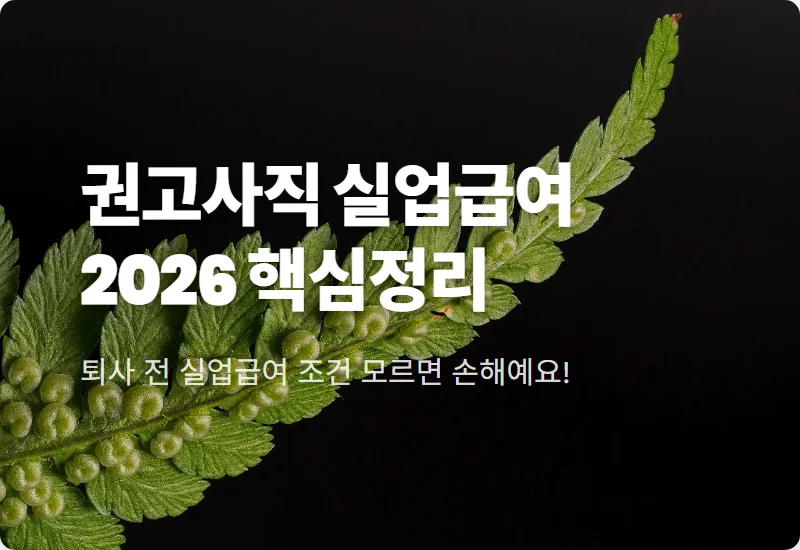 권고사직 실업급여 2026년 수급 기준과 자발적 퇴사 꿀팁 차이