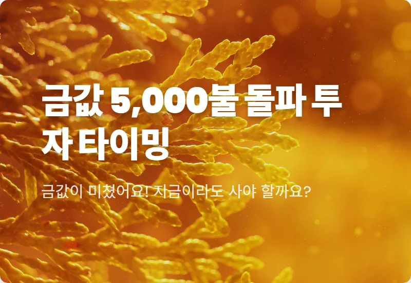 금값시세 5,000달러 돌파! 지금 사도 될까? 현실적인 투자 타이밍 꿀팁 5가지