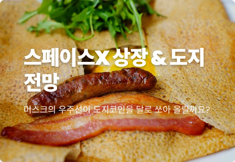 스페이스X 상장 연관성 도지코인 전망, 2026년 현실적인 투자 전략과 꿀팁