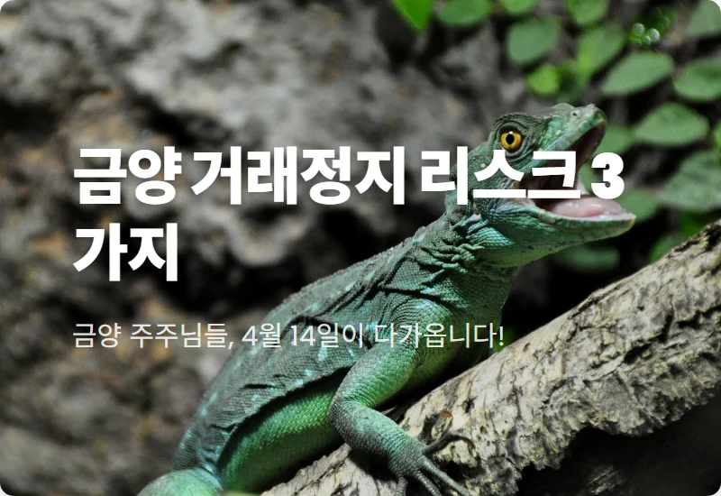 금양 거래정지 해결 방법, 4월 상폐 위기 주가 전망과 리스크 3가지 분석