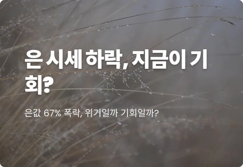 은 투자 전망 18,700원대 하락? 지금 사야 할 현실적인 이유와 주의사항