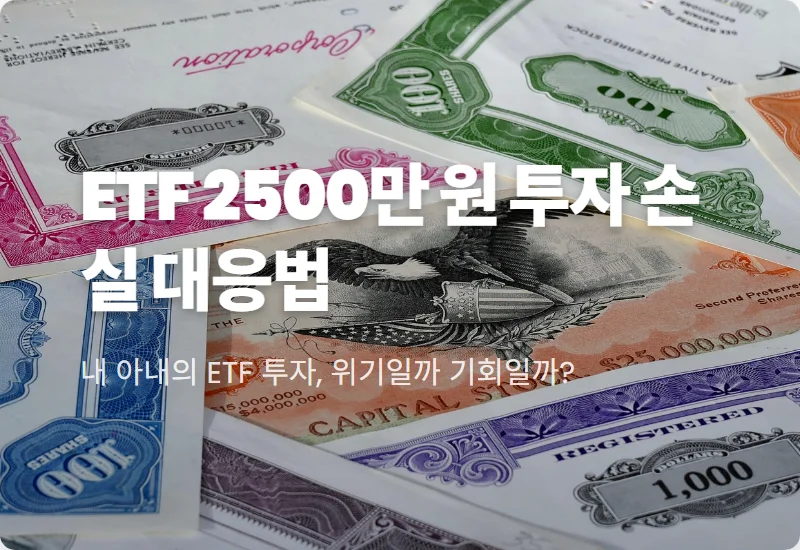한국 ETF 투자 수익 -3.1% 손실? 2,500만 원 투자 리밸런싱 및 추가 매수 전략 솔직 후기