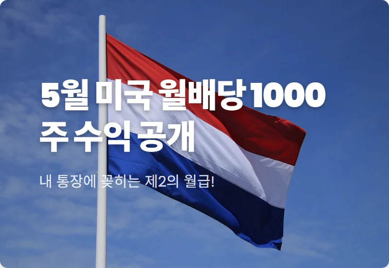 미국 월배당주 1000주 5월 배당금 현실적인 수익과 장기 투자 꿀팁