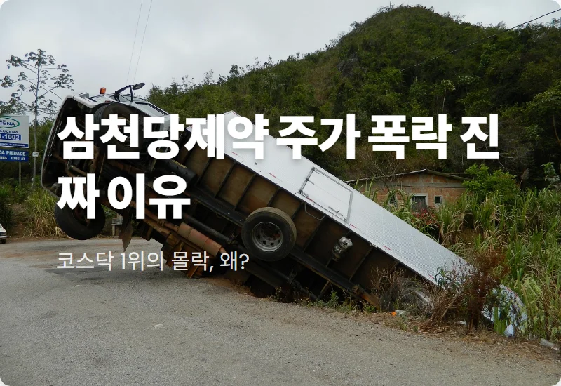 삼천당제약 주가 급락 이유 핵심 분석 및 투자자 주의사항