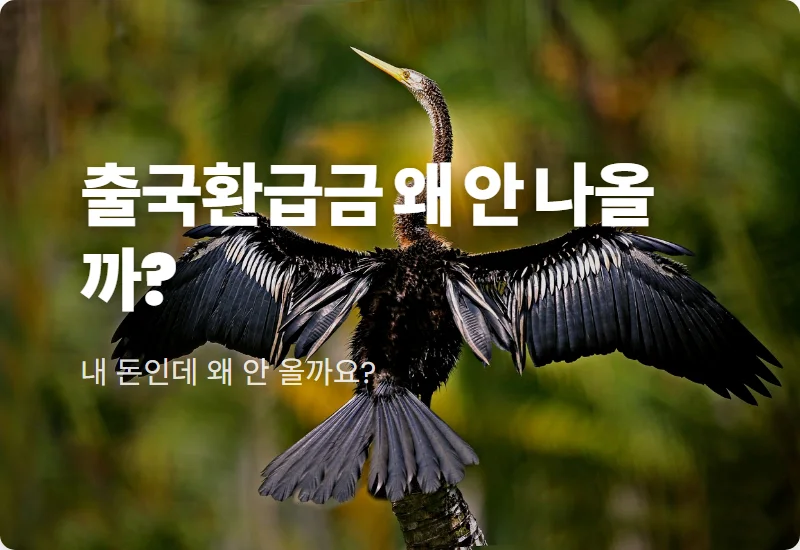 출국납부금 환급 늦어지는 이유, 2026년 최신 지연 원인과 현실적인 빠른 수령 방법 꿀팁