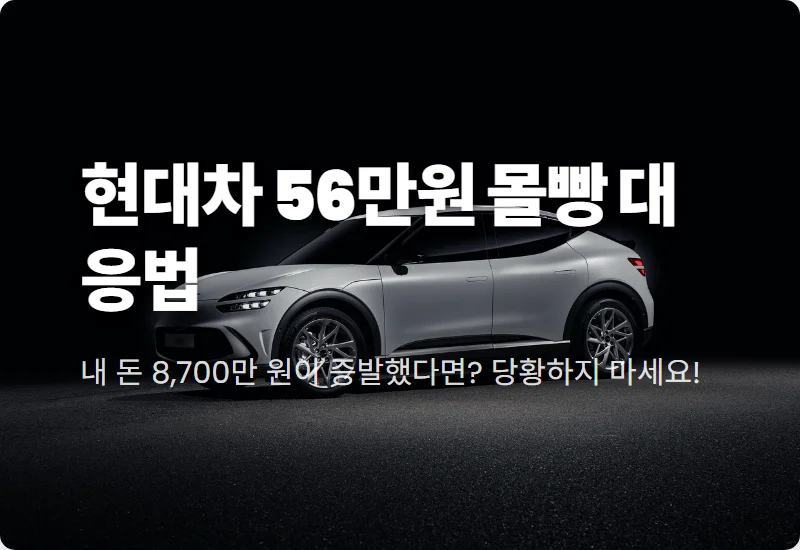 현대차 주가 56만 원 1000주 몰빵 후 현실적인 손실 대응 방법
