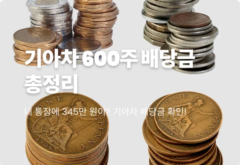 기아차 배당금 600주 보유 시 실수령액과 2026년 지급일 꿀팁