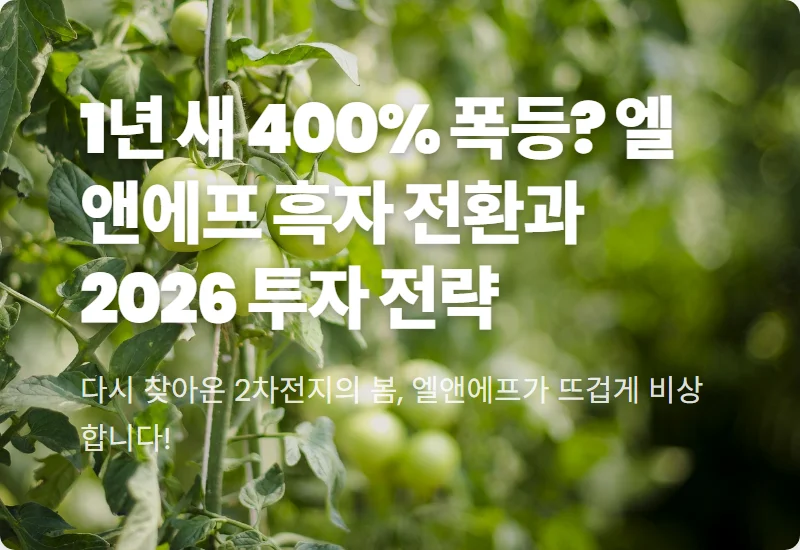 엘앤에프 주가 전망 2026년 4월, 흑자 전환과 LFP 양극재의 현실적인 투자 방법 꿀팁